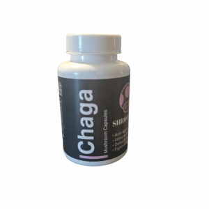 chaga mushroom capsules